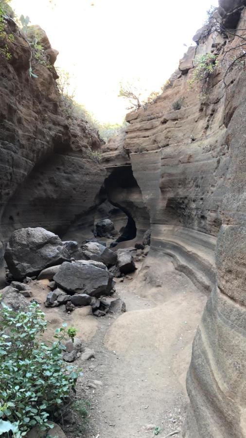 La Cuadra Finca El Calabres Agüimes Dış mekan fotoğraf