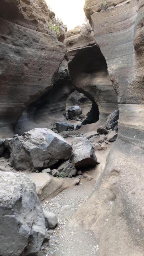 La Cuadra Finca El Calabres Agüimes Dış mekan fotoğraf