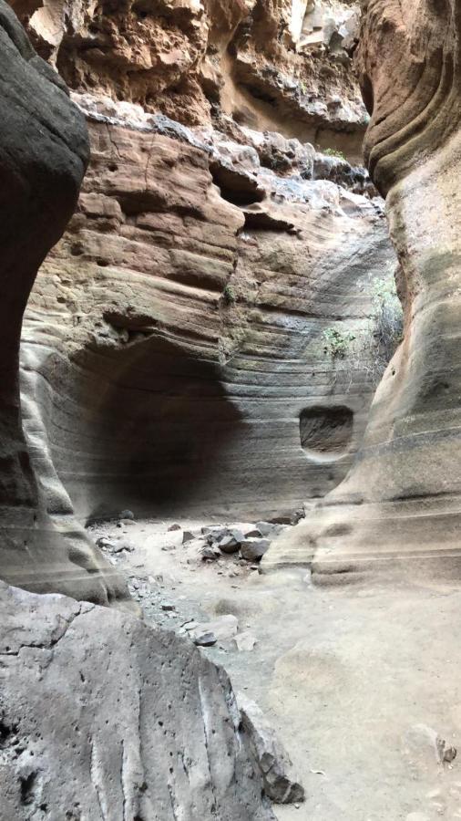 La Cuadra Finca El Calabres Agüimes Dış mekan fotoğraf