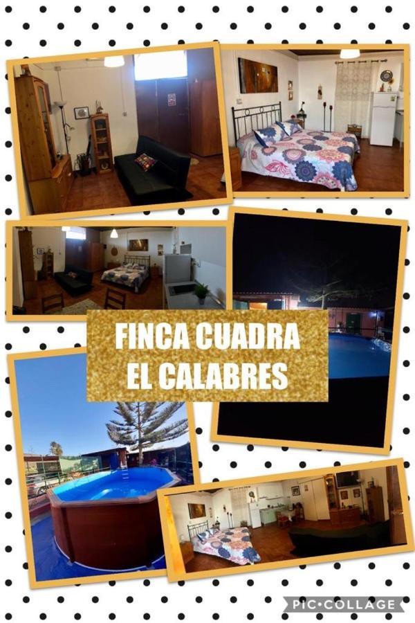 La Cuadra Finca El Calabres Agüimes Dış mekan fotoğraf