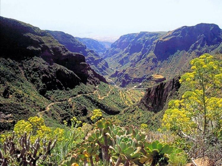 La Cuadra Finca El Calabres Agüimes Dış mekan fotoğraf